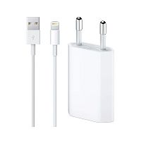 Зарядний пристрій для iPhone 5W USB-Lightning у коробці (біле)