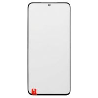 Скло дисплея Samsung Galaxy S20 Ultra G988F (з OCA плівкою)