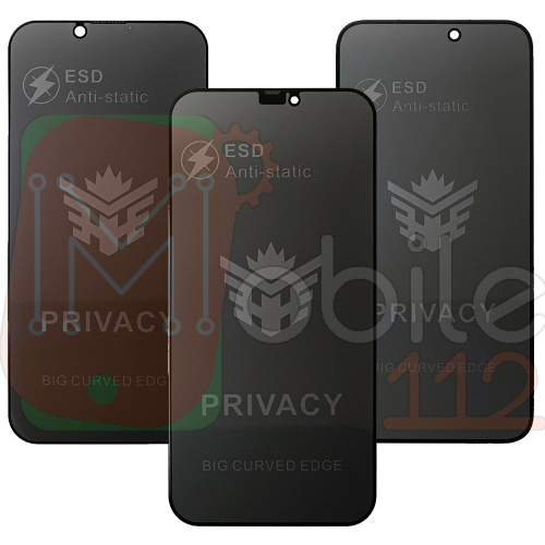 Захисне скло Apple iPhone 16 Plus (ESD Privacy)